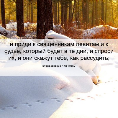 Picture 06 - Второзаконие 17:9 RUSV - и приди к священникам - Bible Verse Picture