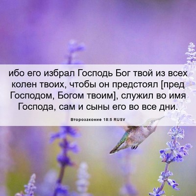 Picture 06 - Второзаконие 18:5 RUSV - ибо его избрал Господь Бог - Bible Verse Picture