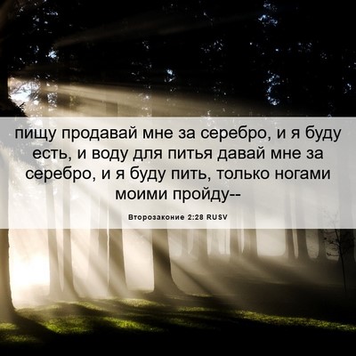 Picture 06 - Второзаконие 2:28 RUSV - пищу продавай мне за - Bible Verse Picture