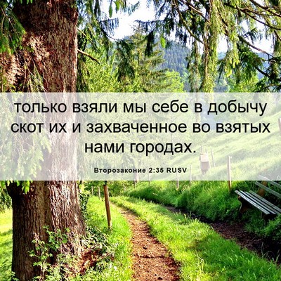 Picture 06 - Второзаконие 2:35 RUSV - только взяли мы себе в - Bible Verse Picture