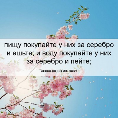 Picture 06 - Второзаконие 2:6 RUSV - пищу покупайте у них за - Bible Verse Picture