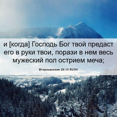 Picture 06 - Второзаконие 20:13 RUSV - и [когда] Господь Бог твой - Bible Verse Picture