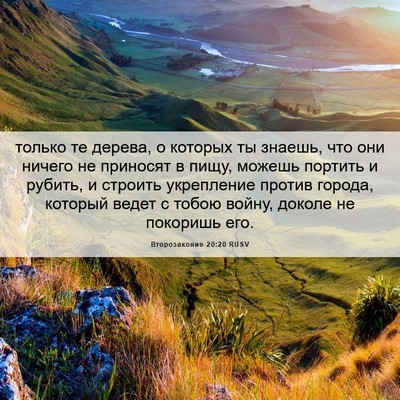 Picture 06 - Второзаконие 20:20 RUSV - только те дерева, о которых - Bible Verse Picture