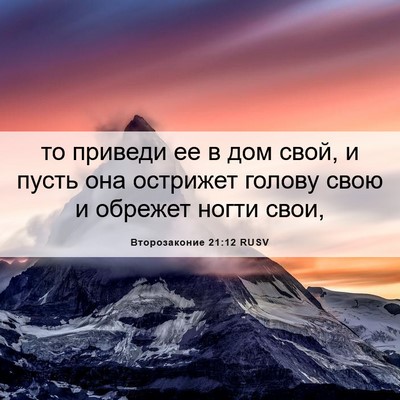 Picture 06 - Второзаконие 21:12 RUSV - то приведи ее в дом свой, и - Bible Verse Picture