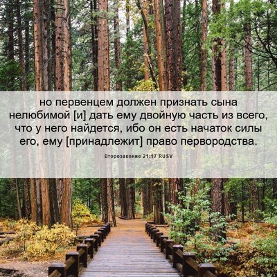 Picture 06 - Второзаконие 21:17 RUSV - но первенцем должен - Bible Verse Picture