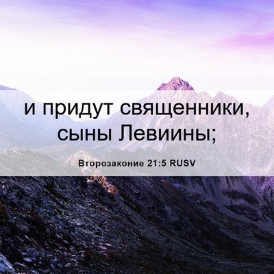 Picture 06 - Второзаконие 21:5 RUSV - и придут священники, сыны - Bible Verse Picture