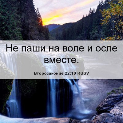 Picture 06 - Второзаконие 22:10 RUSV - Не паши на воле и осле - Bible Verse Picture