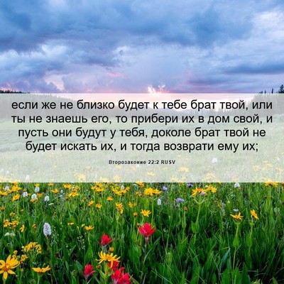 Picture 06 - Второзаконие 22:2 RUSV - если же не близко будет к - Bible Verse Picture