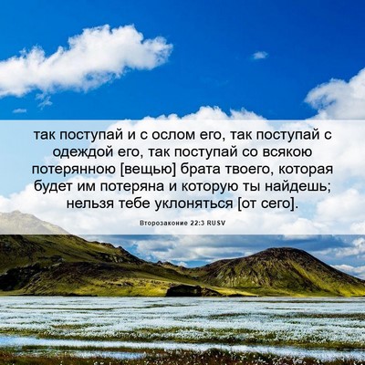 Picture 06 - Второзаконие 22:3 RUSV - так поступай и с ослом его, - Bible Verse Picture
