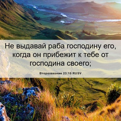 Picture 06 - Второзаконие 23:15 RUSV - Не выдавай раба господину - Bible Verse Picture