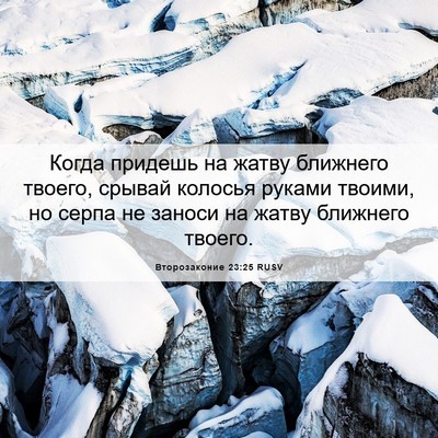 Picture 06 - Второзаконие 23:25 RUSV - Когда придешь на жатву - Bible Verse Picture