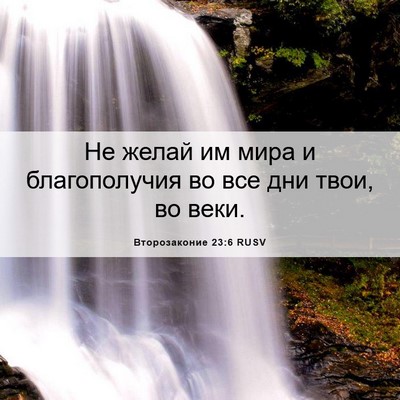 Picture 06 - Второзаконие 23:6 RUSV - Не желай им мира и - Bible Verse Picture