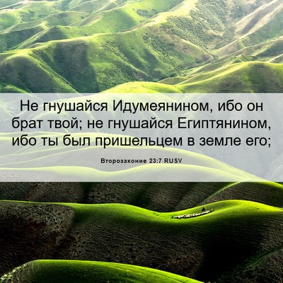 Picture 06 - Второзаконие 23:7 RUSV - Не гнушайся Идумеянином, - Bible Verse Picture