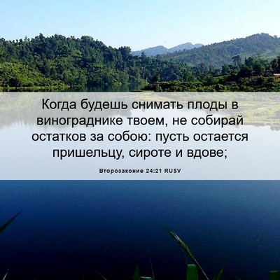Picture 06 - Второзаконие 24:21 RUSV - Когда будешь снимать плоды - Bible Verse Picture
