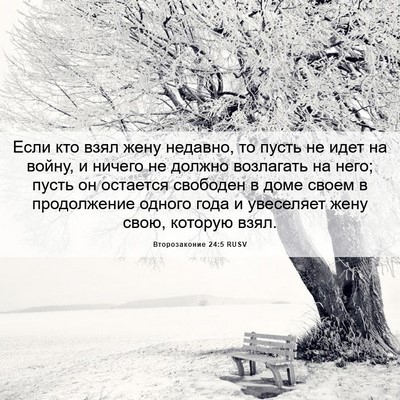 Picture 06 - Второзаконие 24:5 RUSV - Если кто взял жену недавно, - Bible Verse Picture