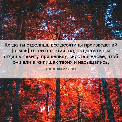 Picture 06 - Второзаконие 26:12 RUSV - Когда ты отделишь все - Bible Verse Picture