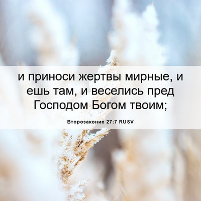 Picture 06 - Второзаконие 27:7 RUSV - и приноси жертвы мирные, и - Bible Verse Picture
