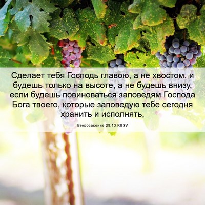 Picture 06 - Второзаконие 28:13 RUSV - Сделает тебя Господь - Bible Verse Picture