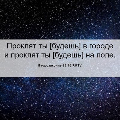 Picture 06 - Второзаконие 28:16 RUSV - Проклят ты [будешь] в - Bible Verse Picture