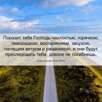 Picture 06 - Второзаконие 28:22 RUSV - Поразит тебя Господь - Bible Verse Picture