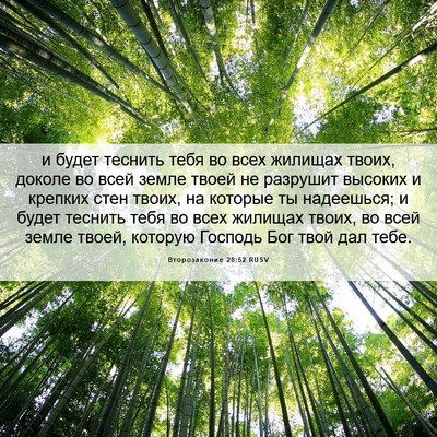 Picture 06 - Второзаконие 28:52 RUSV - и будет теснить тебя во - Bible Verse Picture