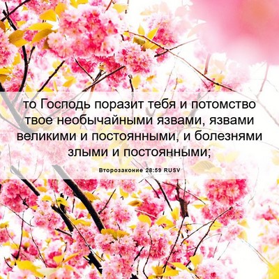 Picture 06 - Второзаконие 28:59 RUSV - то Господь поразит тебя и - Bible Verse Picture