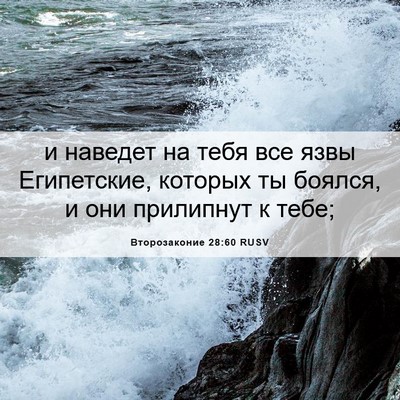 Picture 06 - Второзаконие 28:60 RUSV - и наведет на тебя все язвы - Bible Verse Picture