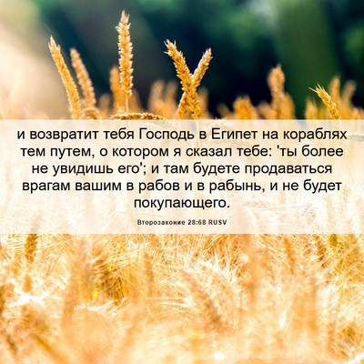 Picture 06 - Второзаконие 28:68 RUSV - и возвратит тебя Господь в - Bible Verse Picture