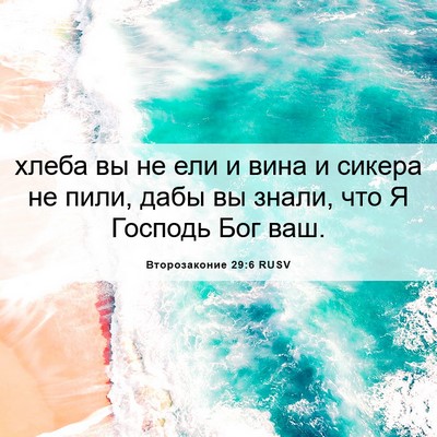 Picture 06 - Второзаконие 29:6 RUSV - хлеба вы не ели и вина и - Bible Verse Picture