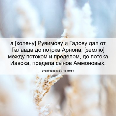 Picture 06 - Второзаконие 3:16 RUSV - а [колену] Рувимову и - Bible Verse Picture