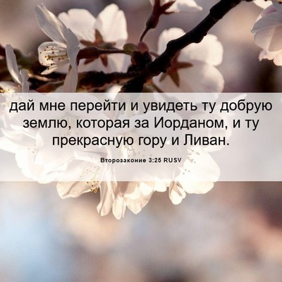 Picture 06 - Второзаконие 3:25 RUSV - дай мне перейти и увидеть - Bible Verse Picture