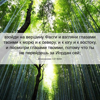 Picture 06 - Второзаконие 3:27 RUSV - взойди на вершину Фасги и - Bible Verse Picture
