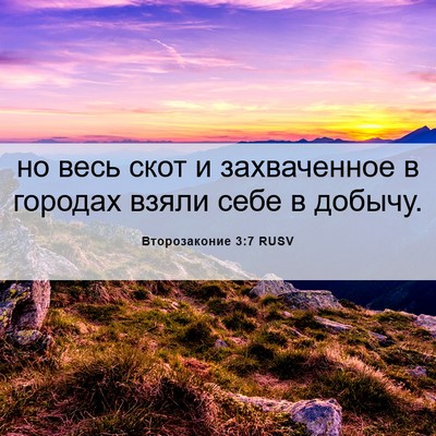 Picture 06 - Второзаконие 3:7 RUSV - но весь скот и захваченное - Bible Verse Picture