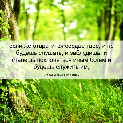 Picture 06 - Второзаконие 30:17 RUSV - если же отвратится сердце - Bible Verse Picture
