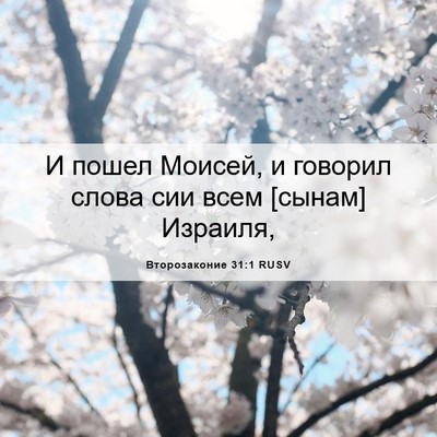 Picture 06 - Второзаконие 31:1 RUSV - И пошел Моисей, и говорил - Bible Verse Picture