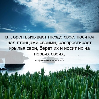 Picture 06 - Второзаконие 32:11 RUSV - как орел вызывает гнездо - Bible Verse Picture