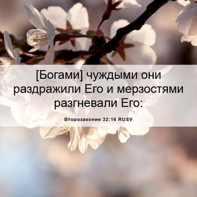 Picture 06 - Второзаконие 32:16 RUSV - [Богами] чуждыми они - Bible Verse Picture