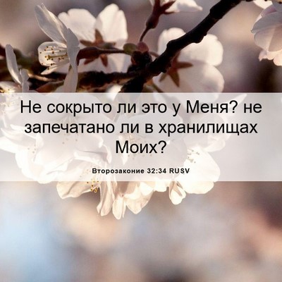 Picture 06 - Второзаконие 32:34 RUSV - Не сокрыто ли это у Меня? не - Bible Verse Picture