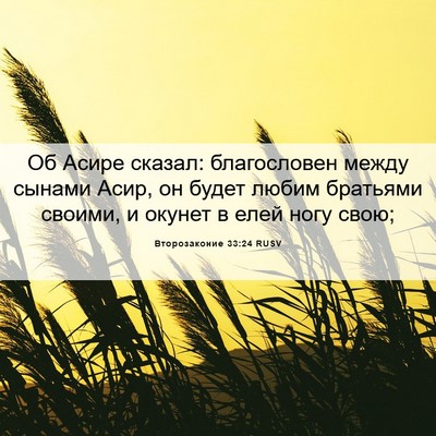 Picture 06 - Второзаконие 33:24 RUSV - Об Асире сказал: - Bible Verse Picture