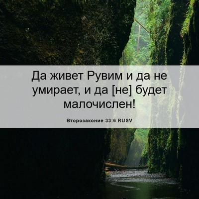 Picture 06 - Второзаконие 33:6 RUSV - Да живет Рувим и да не - Bible Verse Picture
