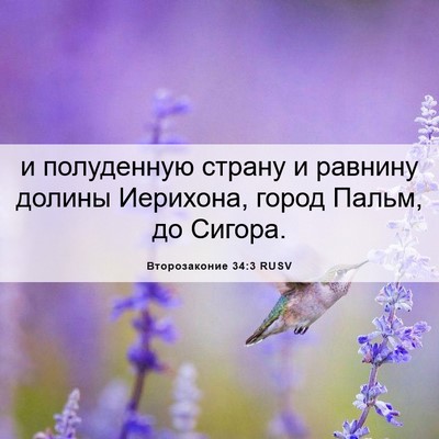 Picture 06 - Второзаконие 34:3 RUSV - и полуденную страну и - Bible Verse Picture