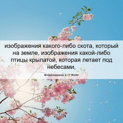 Picture 06 - Второзаконие 4:17 RUSV - изображения какого-либо - Bible Verse Picture