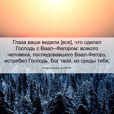 Picture 06 - Второзаконие 4:3 RUSV - Глаза ваши видели [все], что - Bible Verse Picture