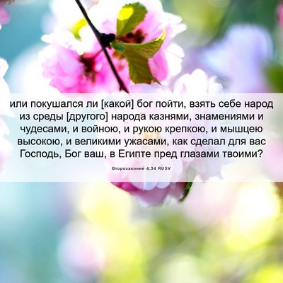 Picture 06 - Второзаконие 4:34 RUSV - или покушался ли [какой] - Bible Verse Picture
