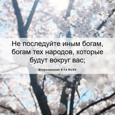 Picture 06 - Второзаконие 6:14 RUSV - Не последуйте иным богам, - Bible Verse Picture