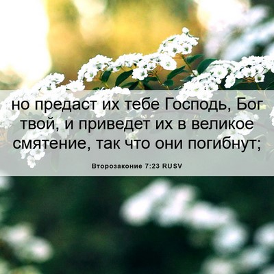 Picture 06 - Второзаконие 7:23 RUSV - но предаст их тебе Господь, - Bible Verse Picture