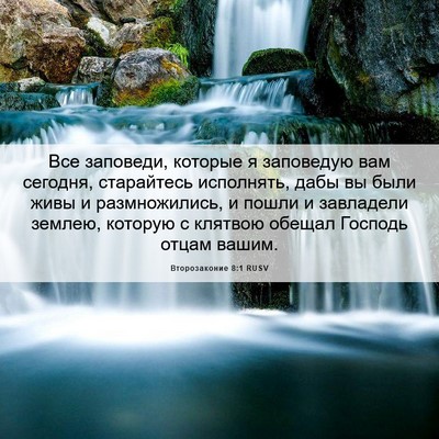 Picture 06 - Второзаконие 8:1 RUSV - Все заповеди, которые я - Bible Verse Picture