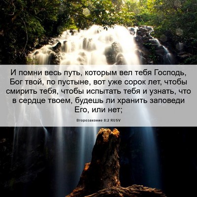 Picture 06 - Второзаконие 8:2 RUSV - И помни весь путь, которым - Bible Verse Picture
