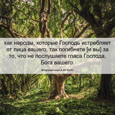 Picture 06 - Второзаконие 8:20 RUSV - как народы, которые - Bible Verse Picture