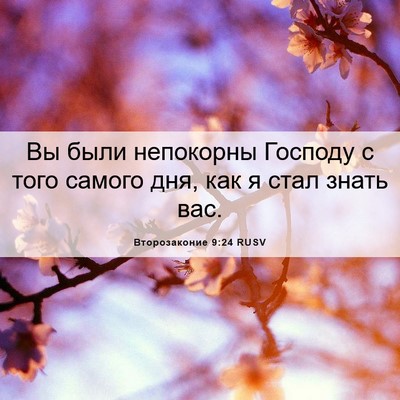 Picture 06 - Второзаконие 9:24 RUSV - Вы были непокорны Господу - Bible Verse Picture